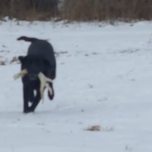 Meet your Posher, Clint